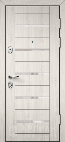 Фото «Белая входная дверь с филенкой внутри и элементами стекла снаружи №17»