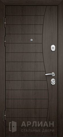 Фото №2 « Стальная дверь для загородного дома №37»